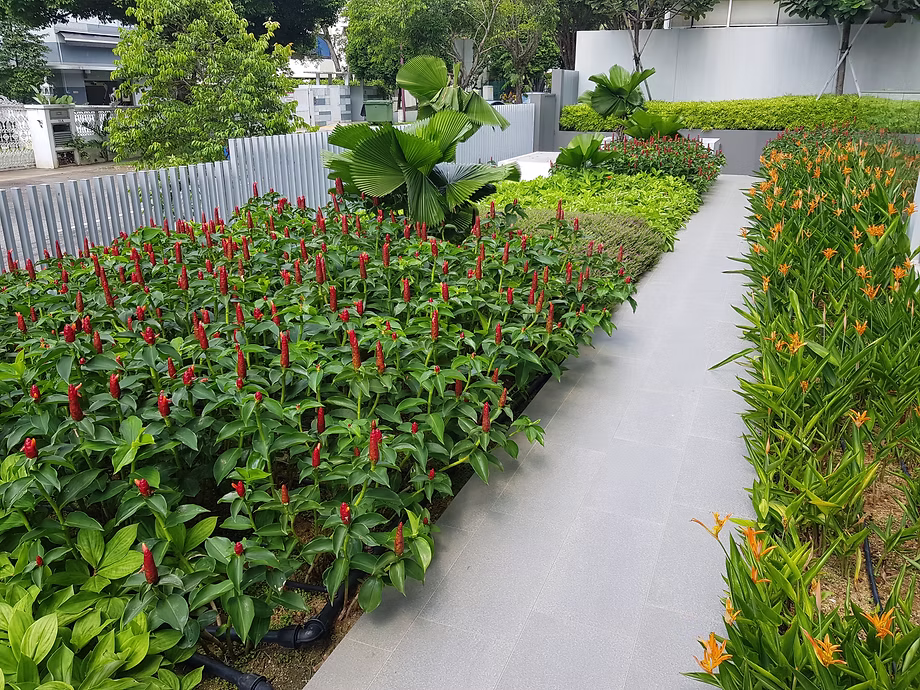 Landscape Maintenance path